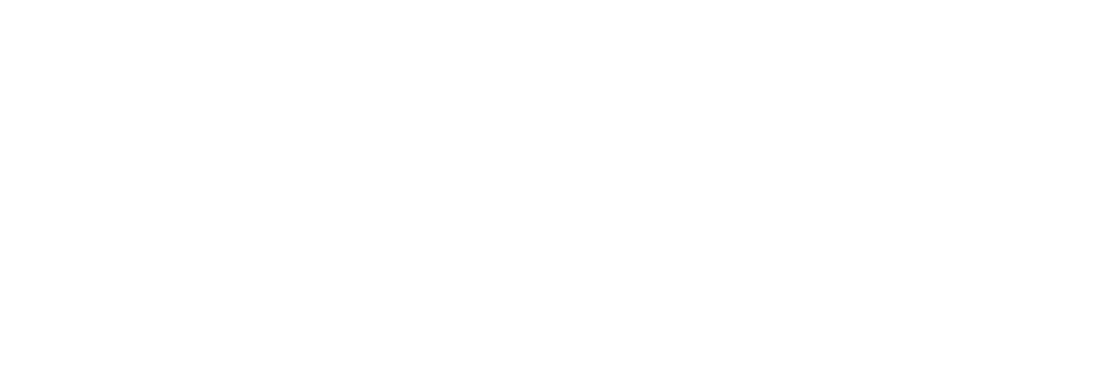 MindPoint Group Logo