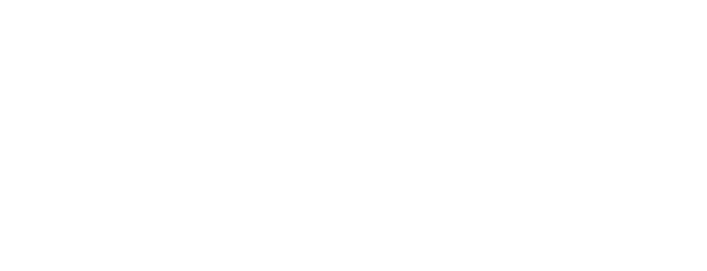 Appian logo