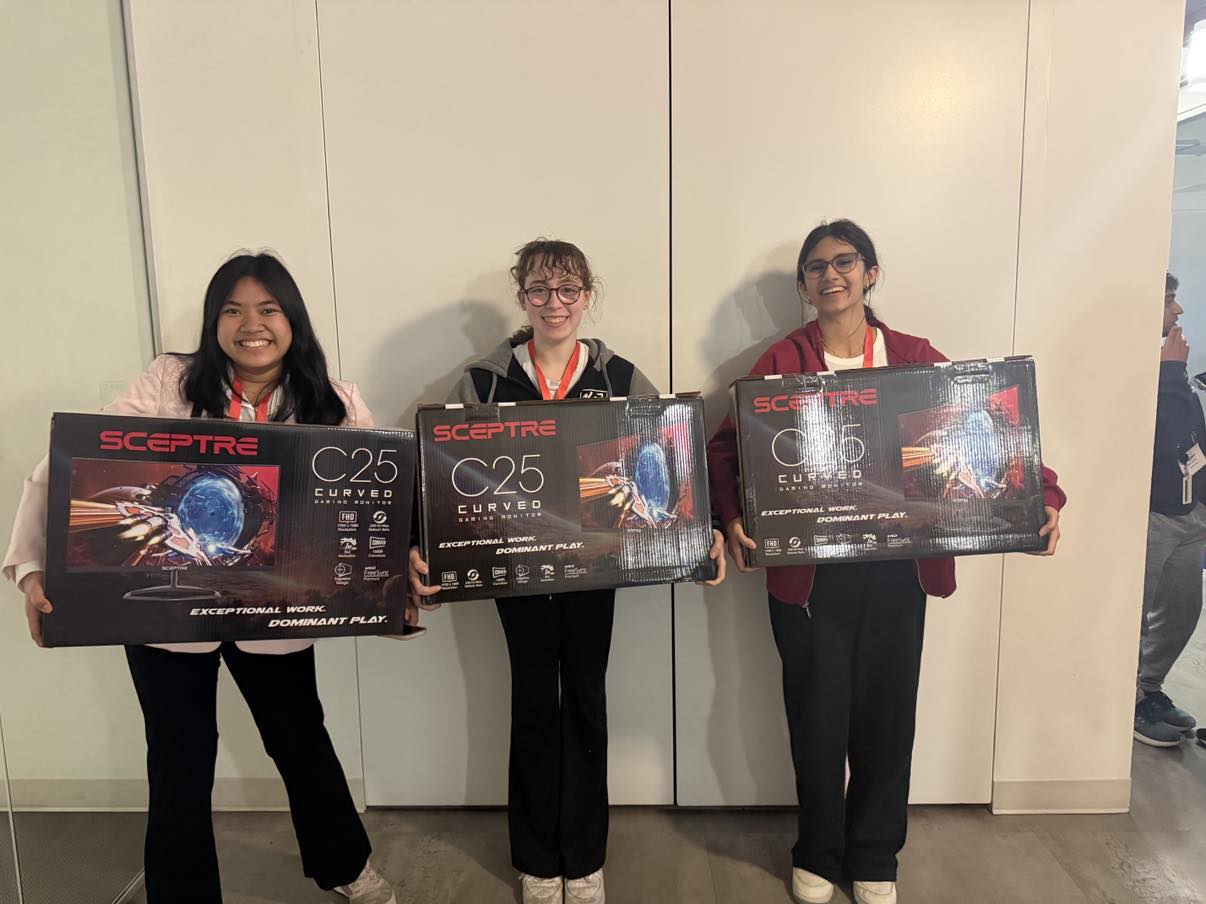 AP Romance project photo